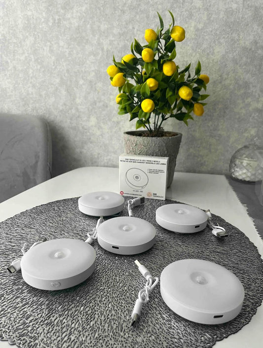 Hareket Sensörlü Akıllı Işık